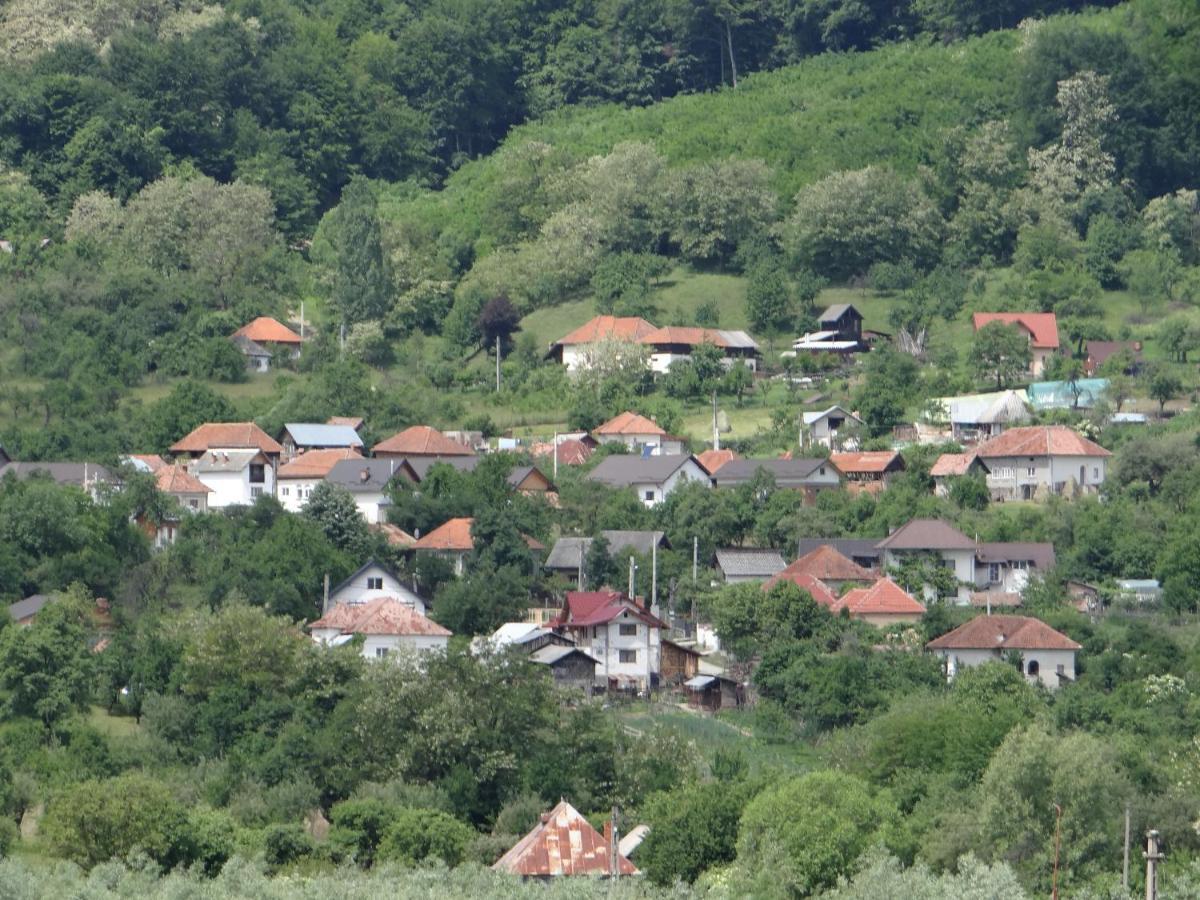 Pensiunea Lacul Albesti Albestii Paminteni Luaran gambar