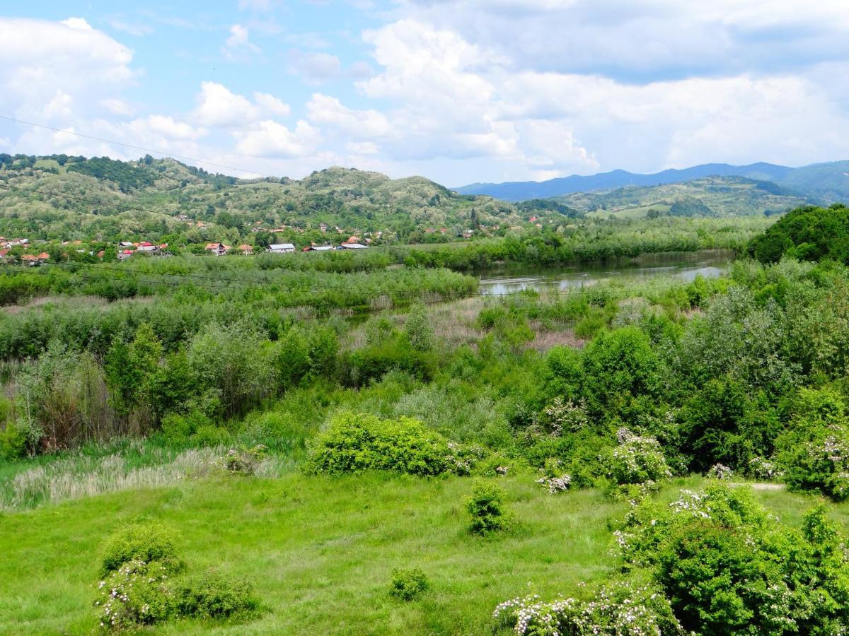 Pensiunea Lacul Albesti Albestii Paminteni Luaran gambar